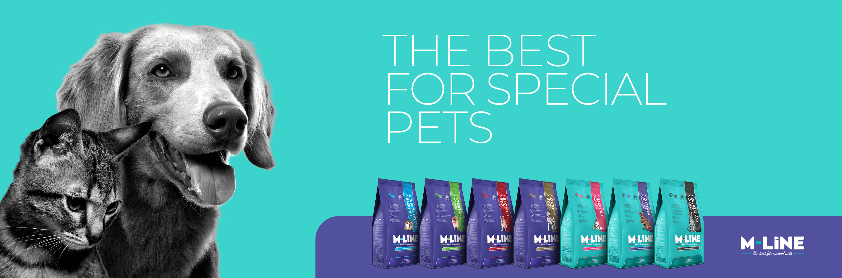 banner-home-MLine Matsuda Pet