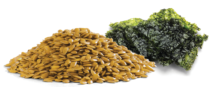 MLINE- MATSUDAPET - MINERAIS