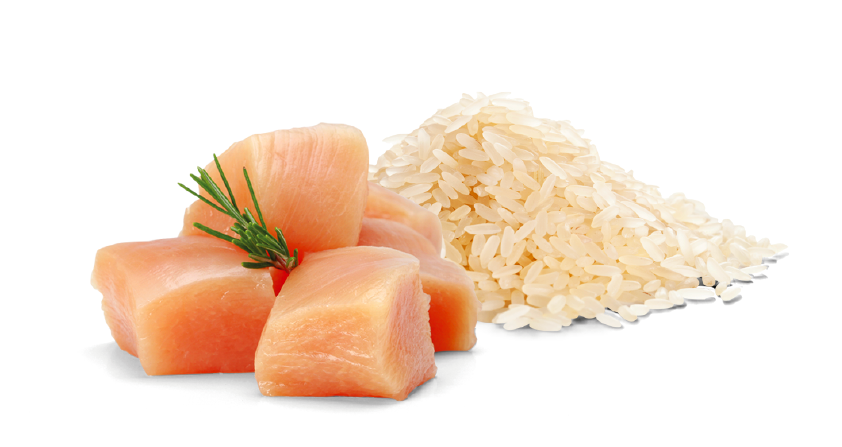 MLINE- MATSUDAPET - FRANGO E ARROZ