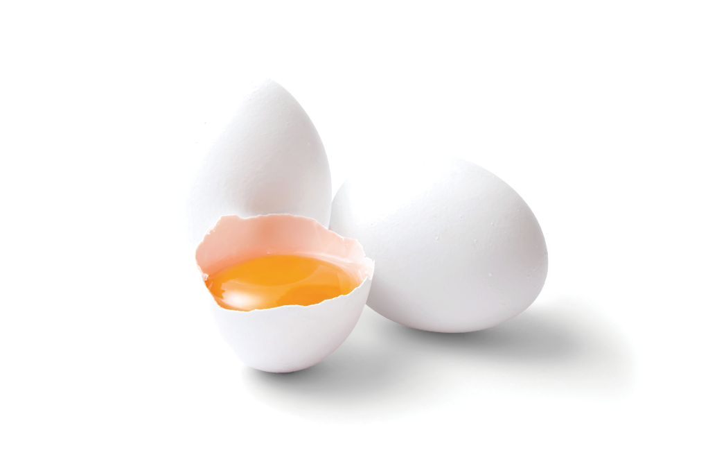 MLINE- MATSUDAPET - PROTEINA DO OVO